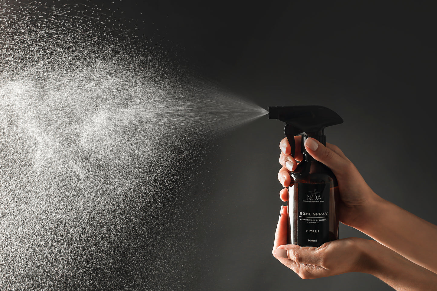 Home Spray